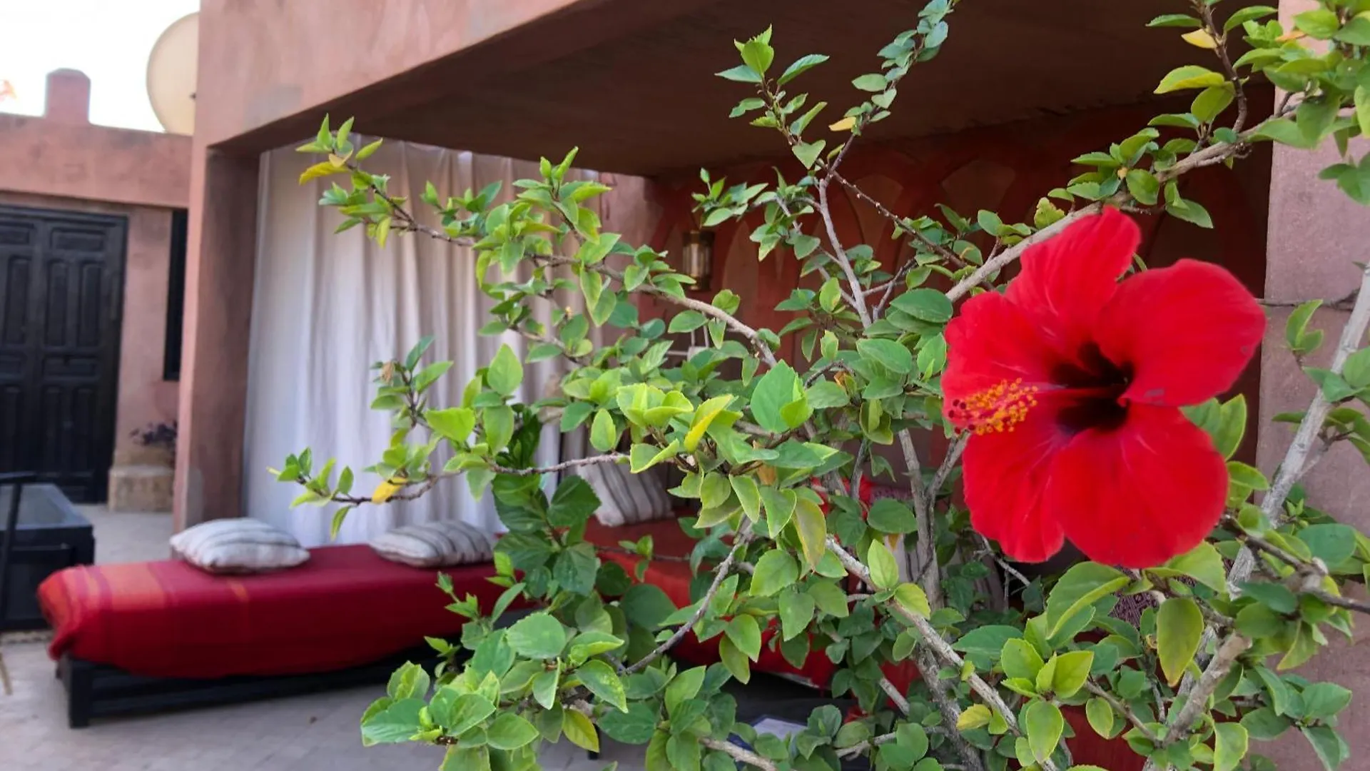Hotel Dar Fangui à Marrakesh 2*,